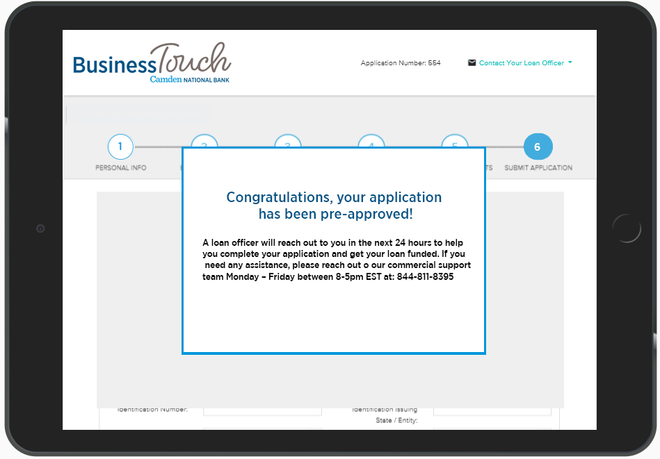 BusinessTouch application approved example message shown on ipad